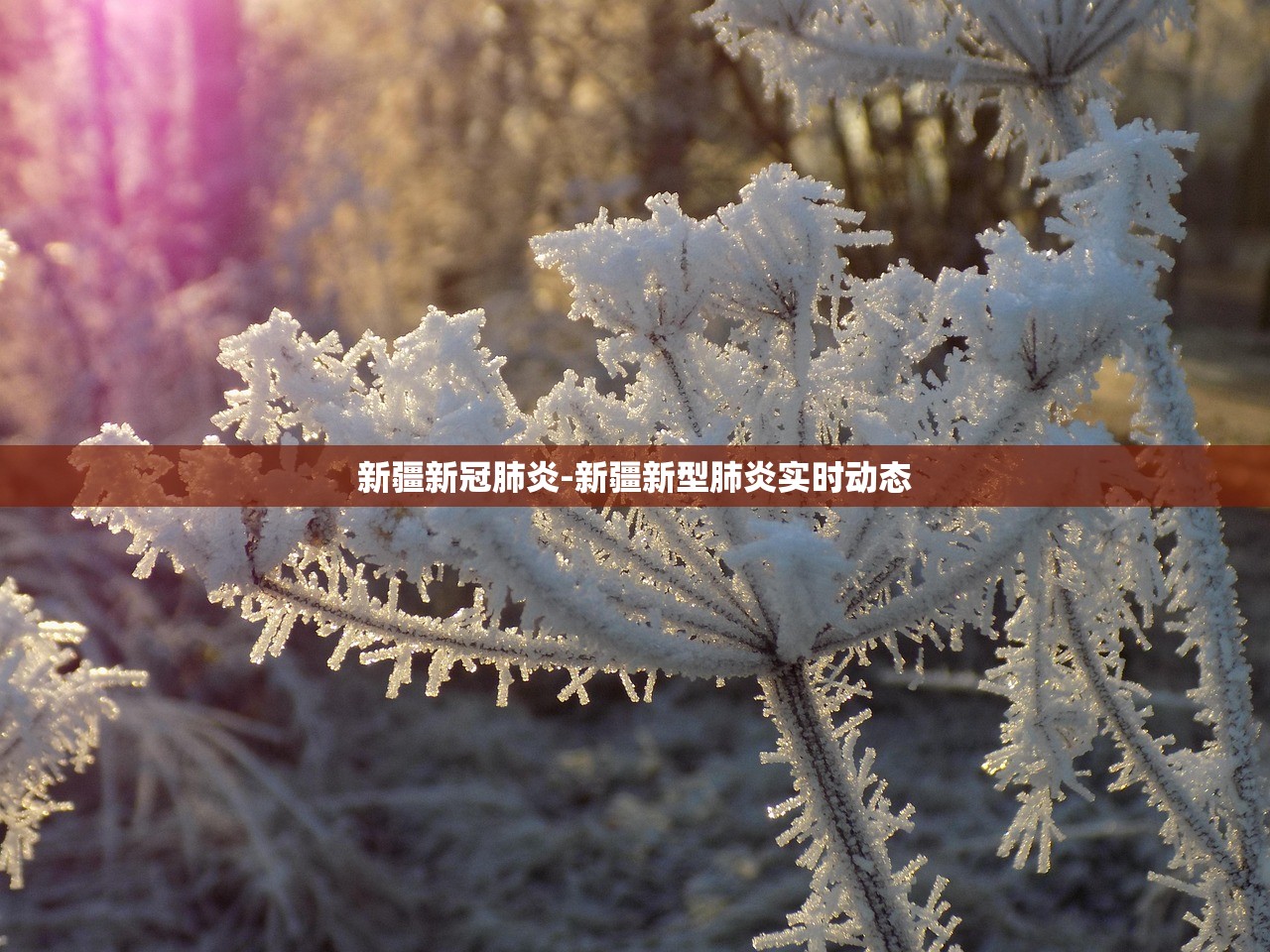 新疆新冠肺炎-新疆新型肺炎实时动态