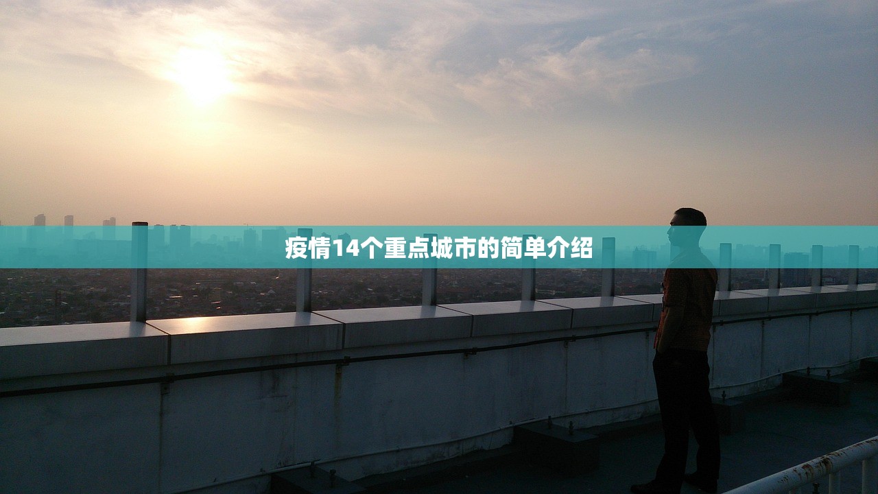疫情14个重点城市的简单介绍