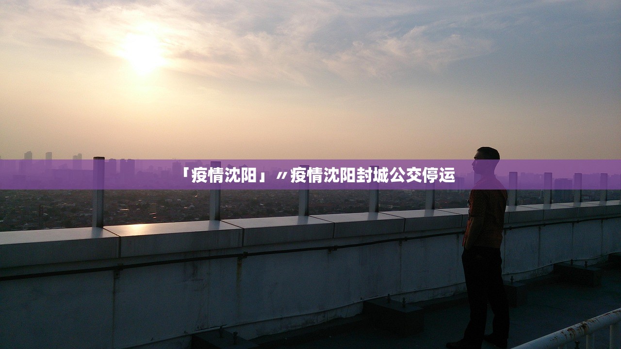 「疫情沈阳」〃疫情沈阳封城公交停运