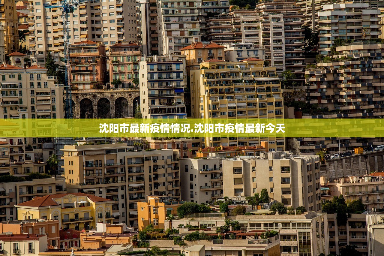 沈阳市最新疫情情况.沈阳市疫情最新今天