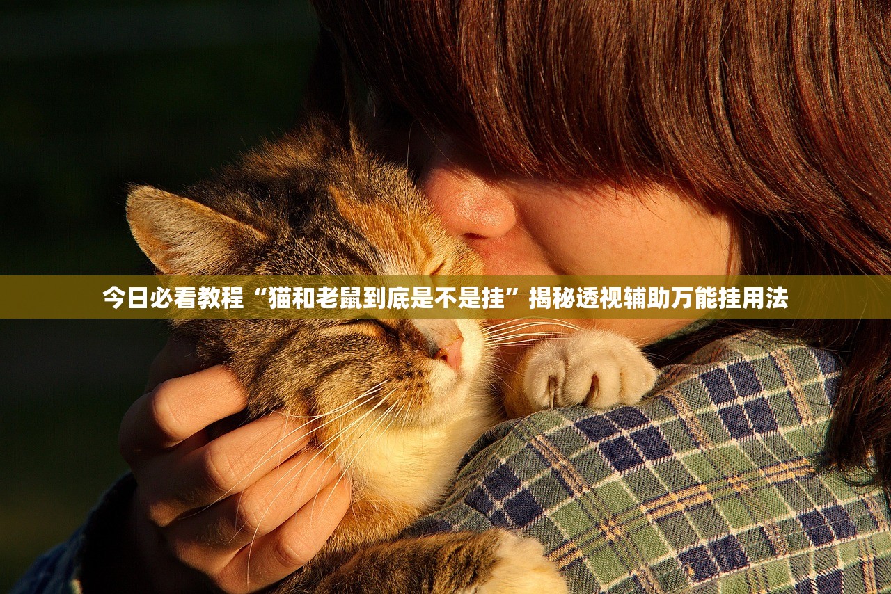今日必看教程“猫和老鼠到底是不是挂	”揭秘透视辅助万能挂用法