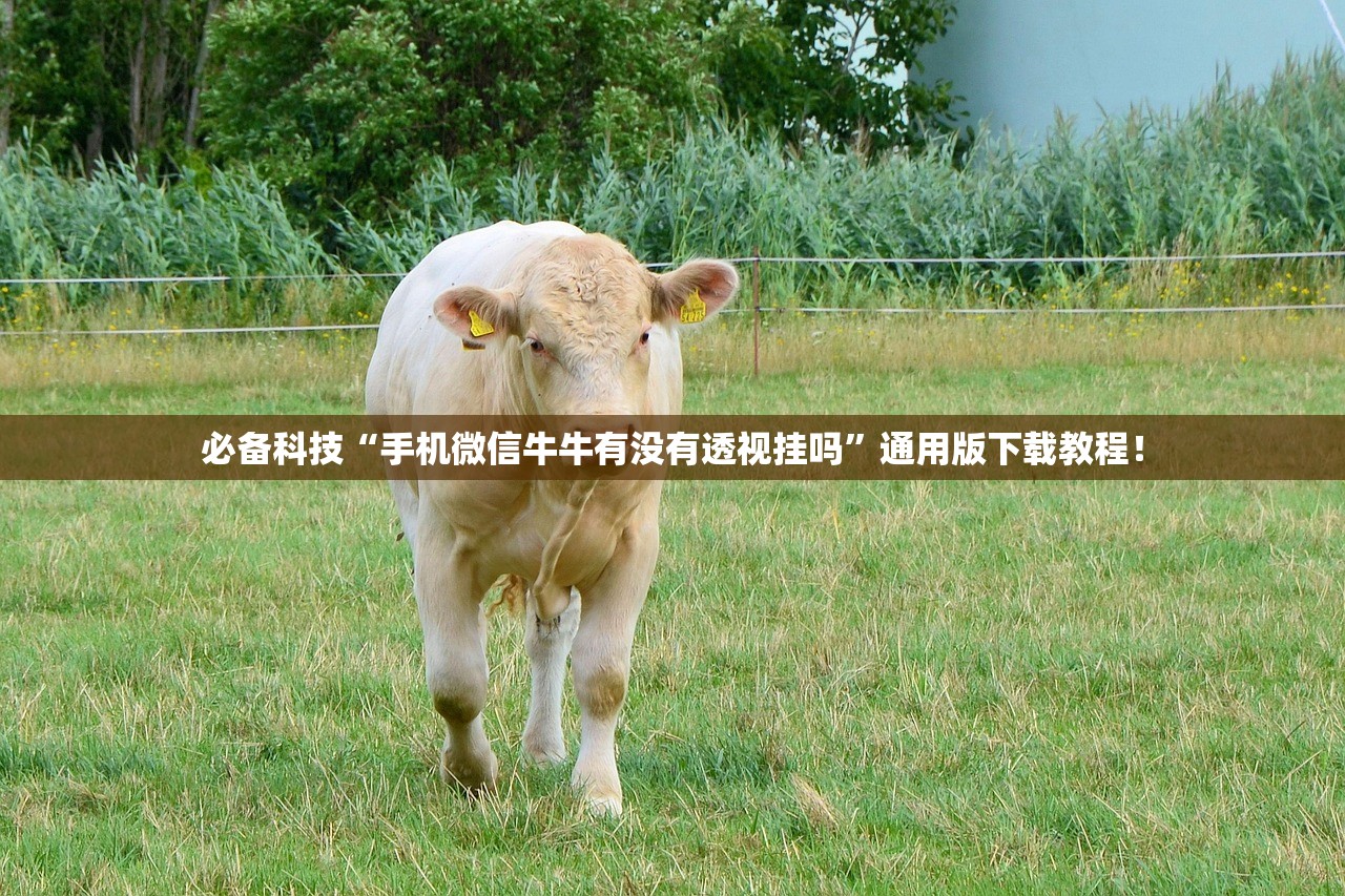 必备科技“手机微信牛牛有没有透视挂吗”通用版下载教程！
