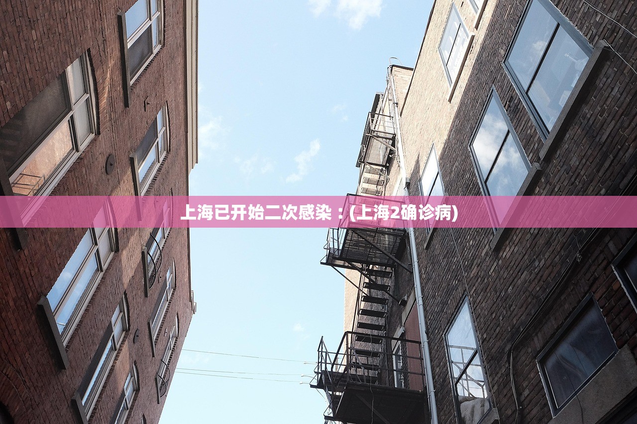 上海已开始二次感染︰(上海2确诊病)