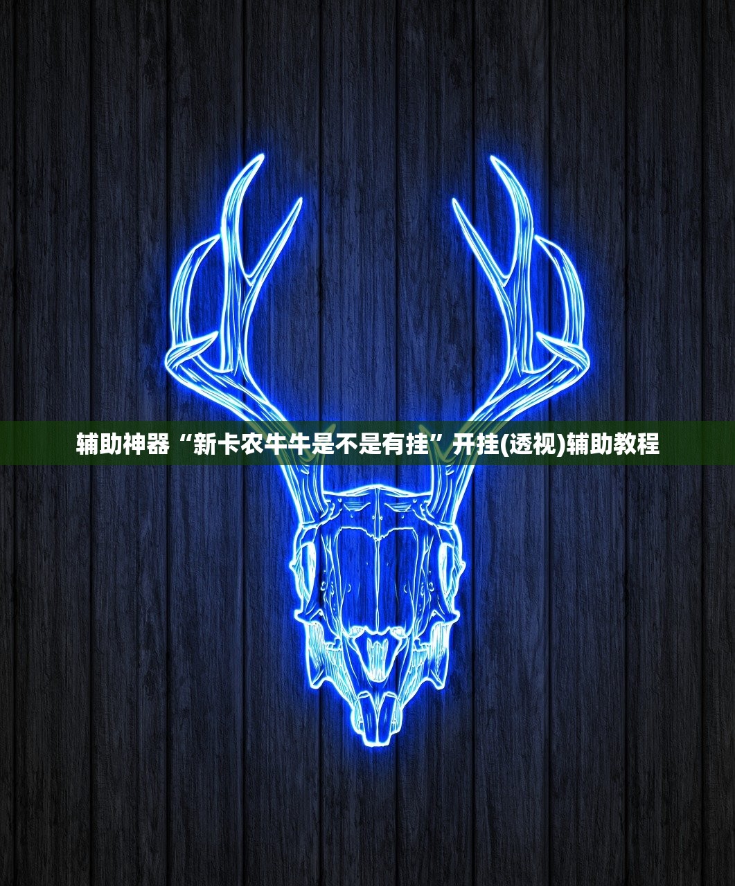 辅助神器“新卡农牛牛是不是有挂”开挂(透视)辅助教程