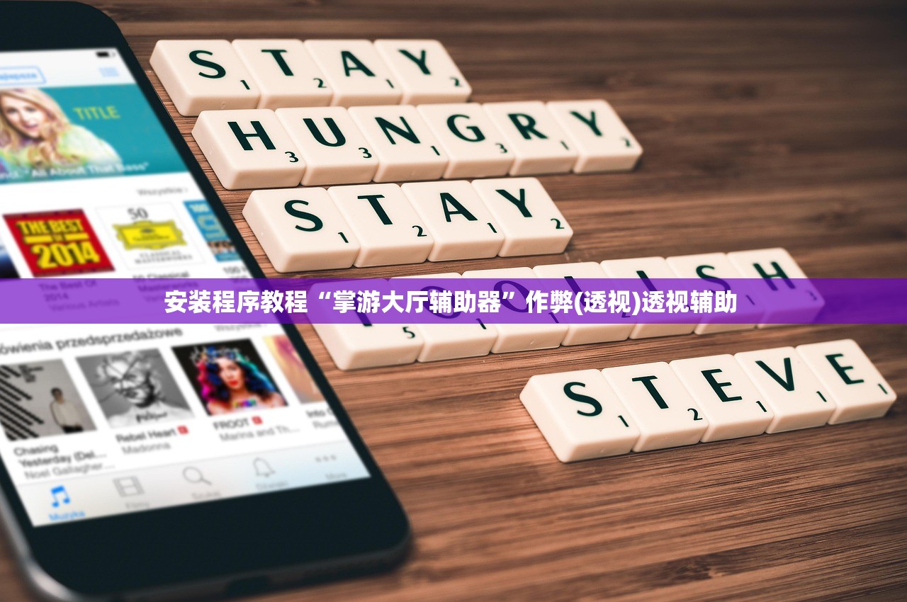 安装程序教程“掌游大厅辅助器”作弊(透视)透视辅助 