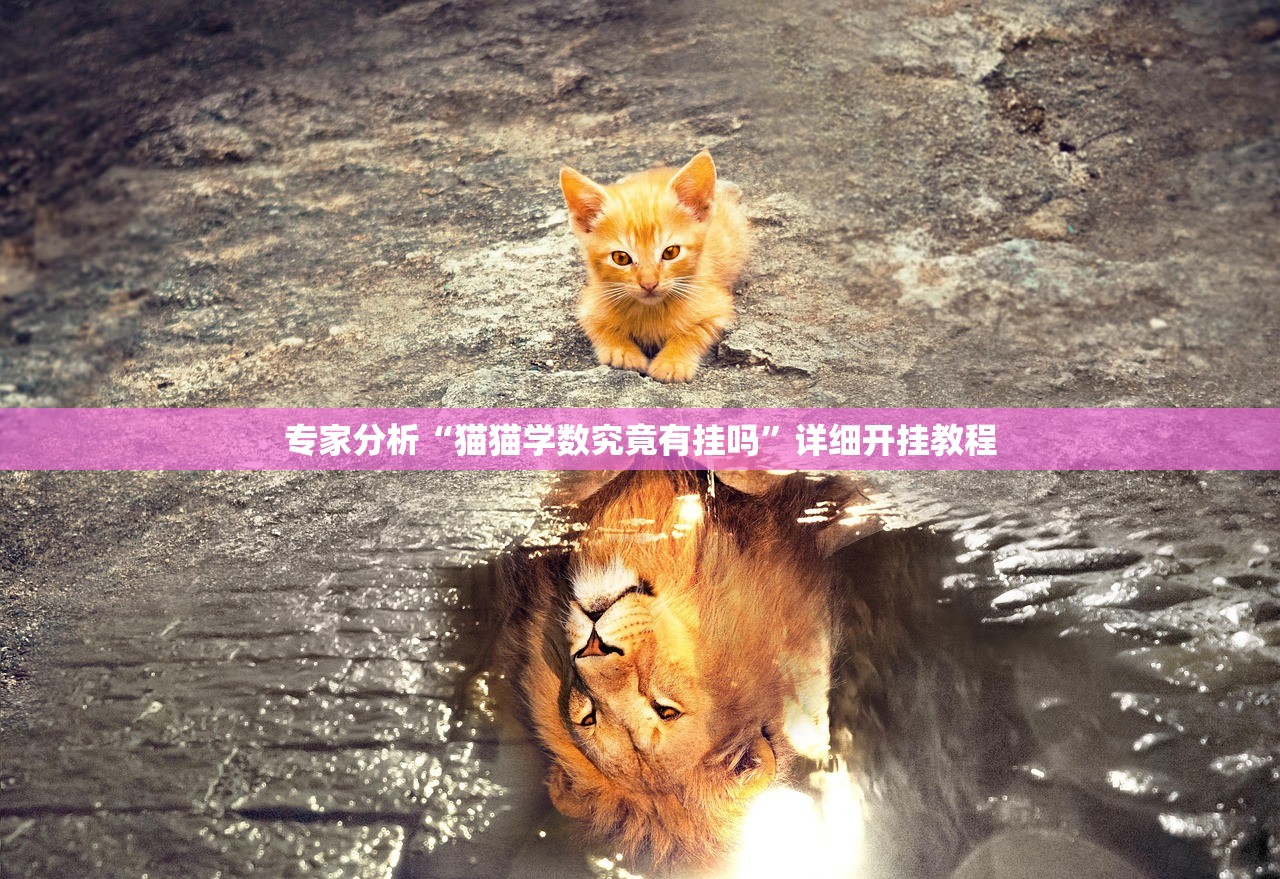 专家分析“猫猫学数究竟有挂吗”详细开挂教程