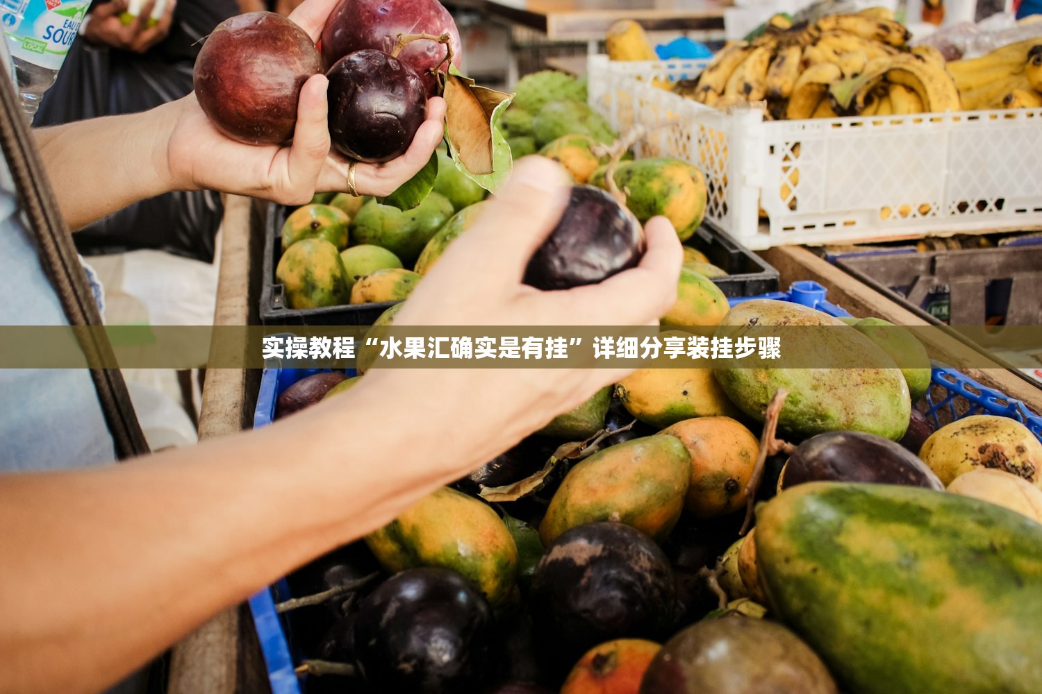 实操教程“水果汇确实是有挂”详细分享装挂步骤