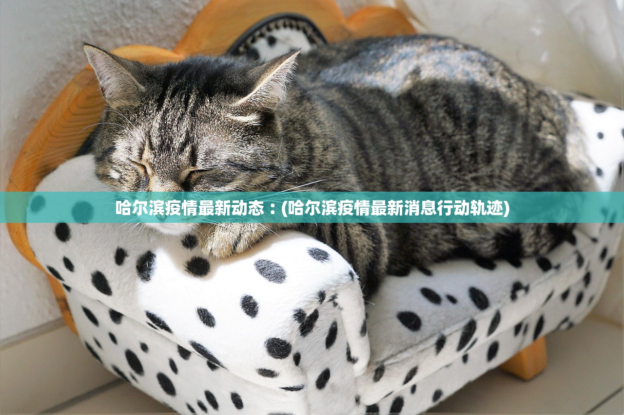 哈尔滨疫情最新动态︰(哈尔滨疫情最新消息行动轨迹)