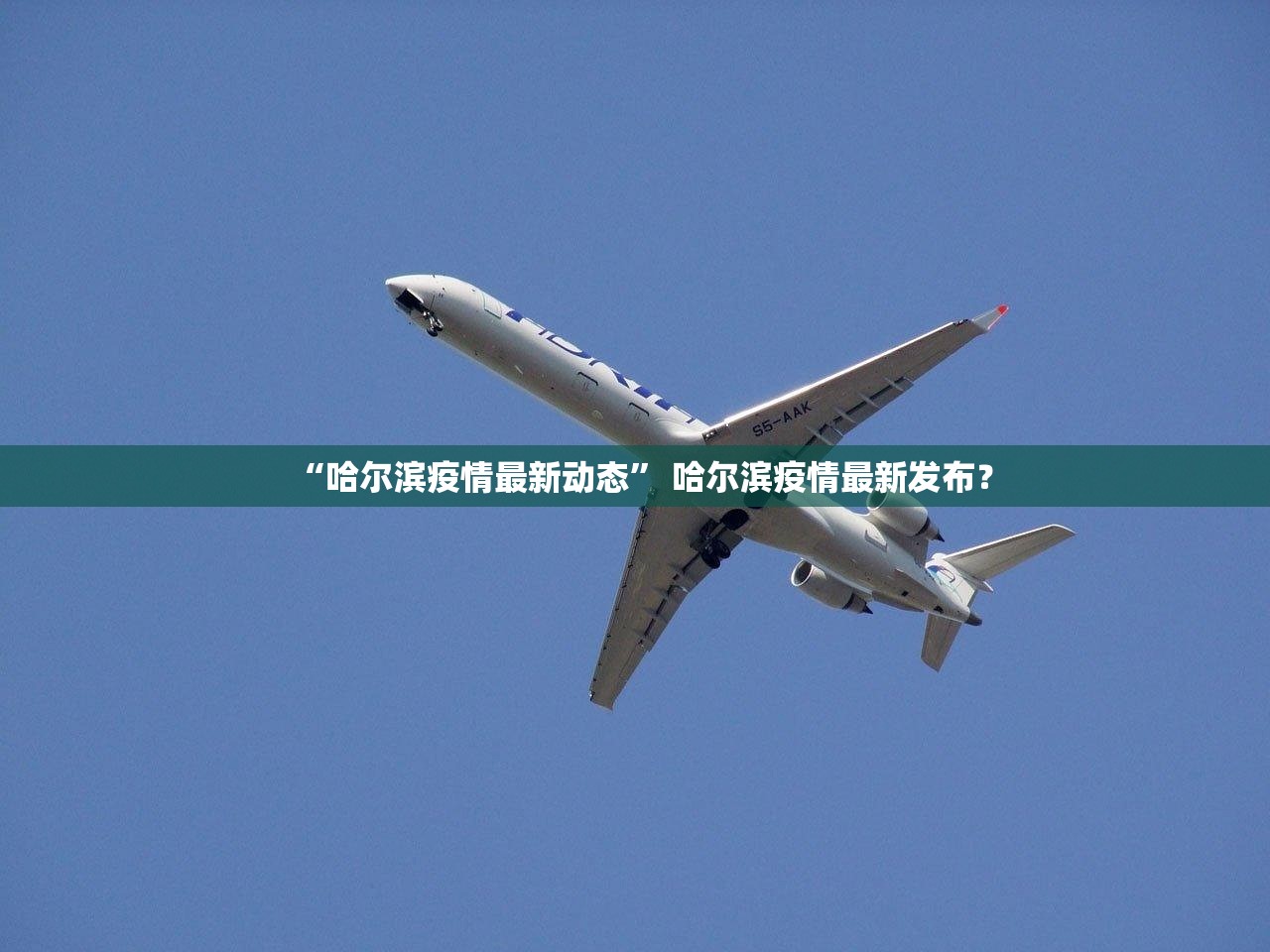 “哈尔滨疫情最新动态” 哈尔滨疫情最新发布？