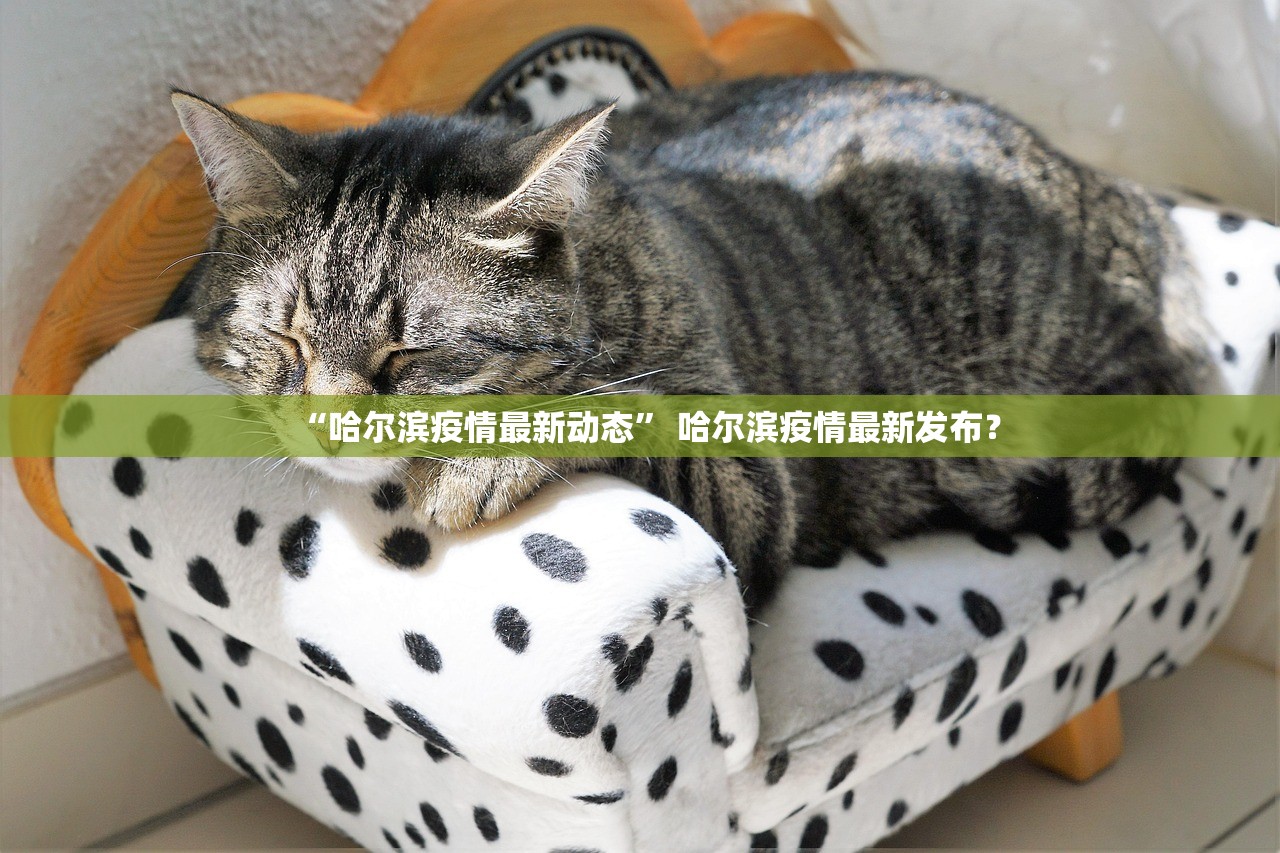 “哈尔滨疫情最新动态” 哈尔滨疫情最新发布？