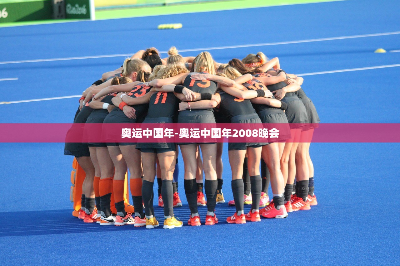 奥运中国年-奥运中国年2008晚会