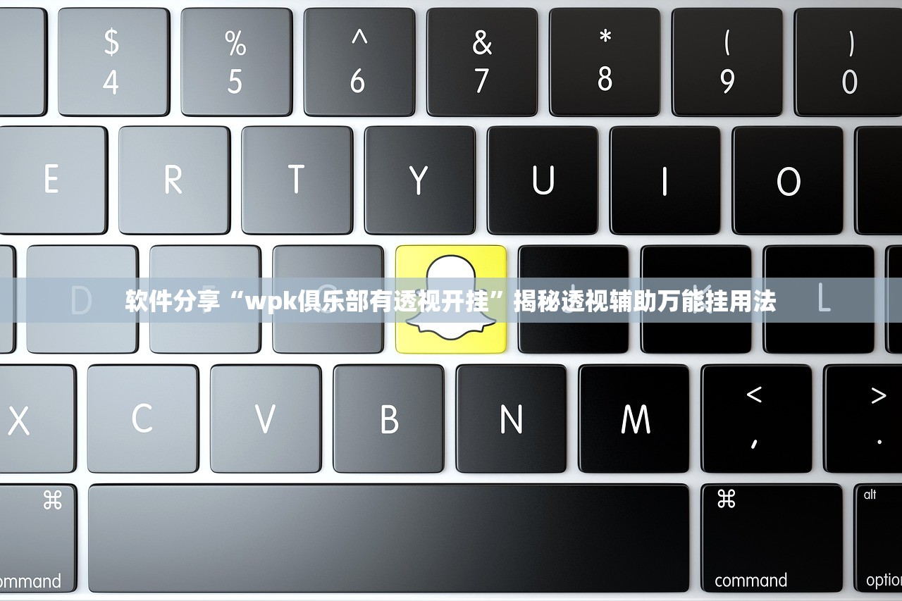 软件分享“wpk俱乐部有透视开挂”揭秘透视辅助万能挂用法
