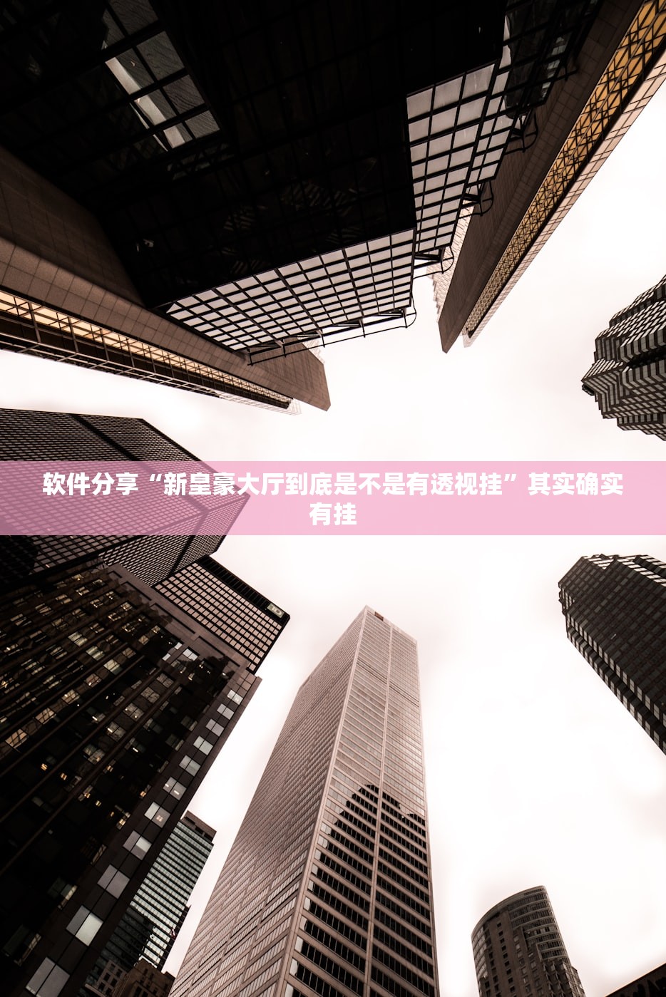 软件分享“新皇豪大厅到底是不是有透视挂”其实确实有挂