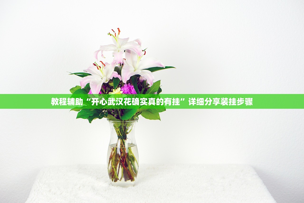 教程辅助“开心武汉花确实真的有挂”详细分享装挂步骤