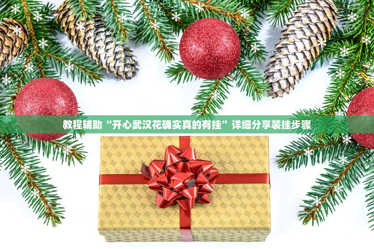 教程辅助“开心武汉花确实真的有挂	”详细分享装挂步骤