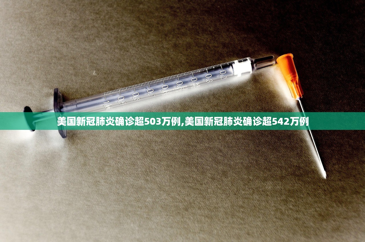 美国新冠肺炎确诊超503万例,美国新冠肺炎确诊超542万例