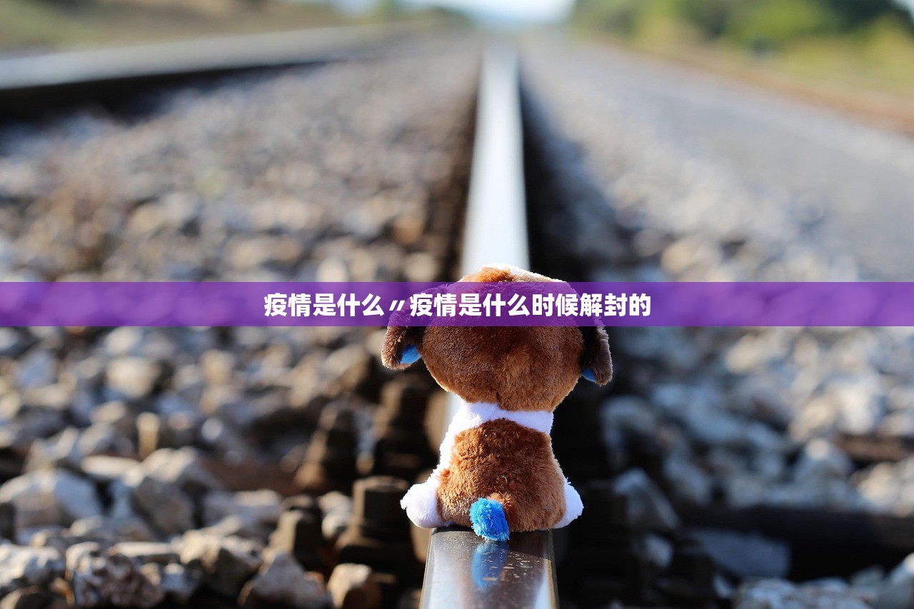 疫情是什么〃疫情是什么时候解封的