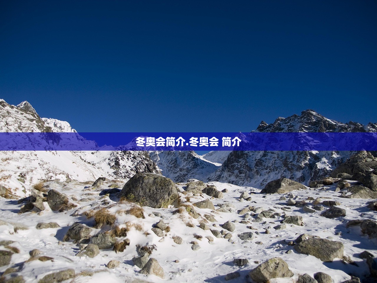 冬奥会简介.冬奥会 简介