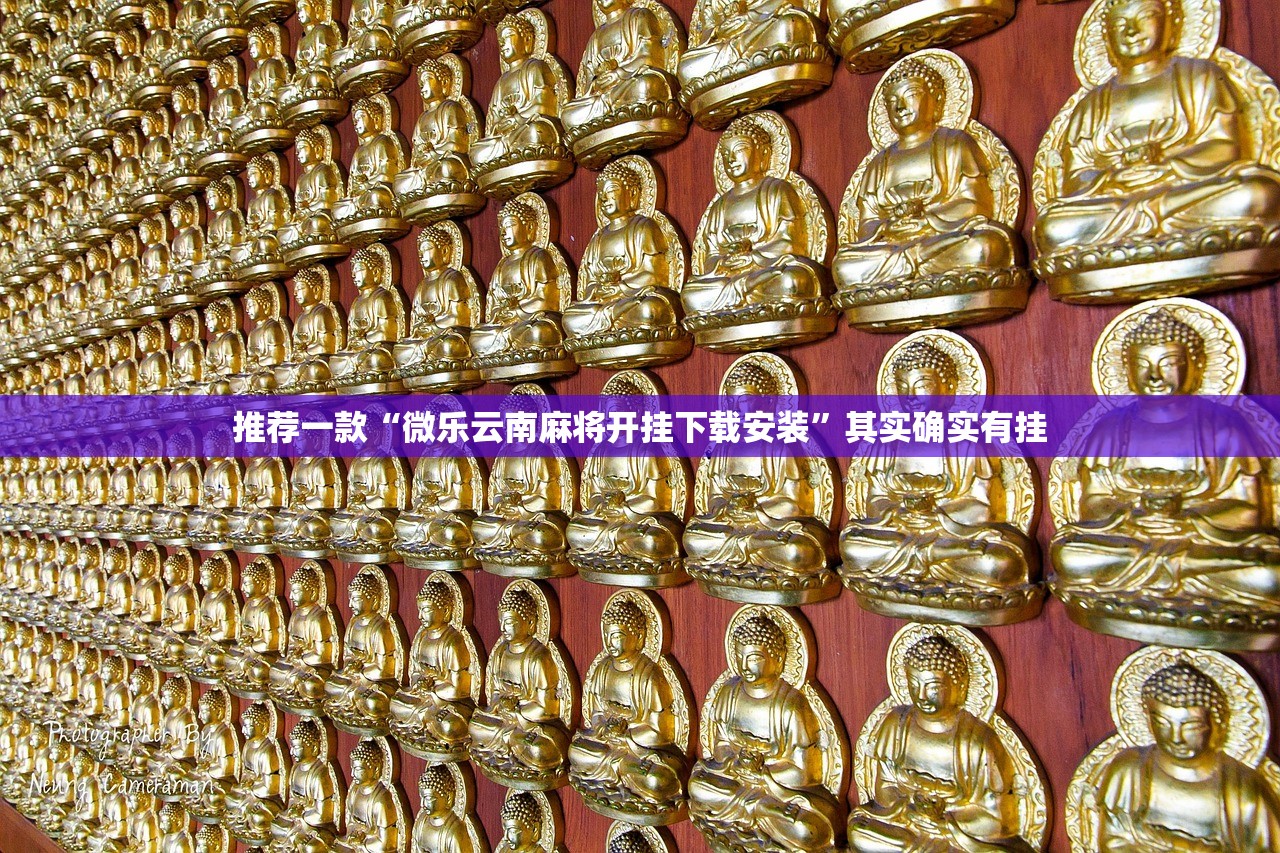 推荐一款“微乐云南麻将开挂下载安装”其实确实有挂