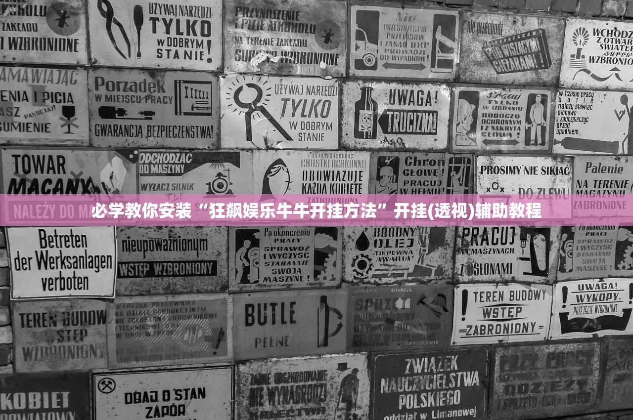 必学教你安装“狂飙娱乐牛牛开挂方法”开挂(透视)辅助教程