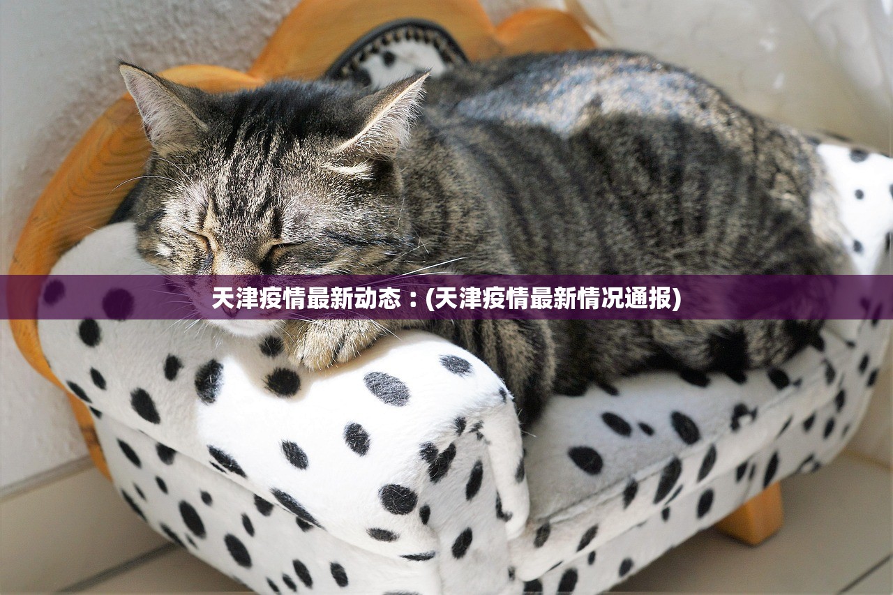 天津疫情最新动态︰(天津疫情最新情况通报)