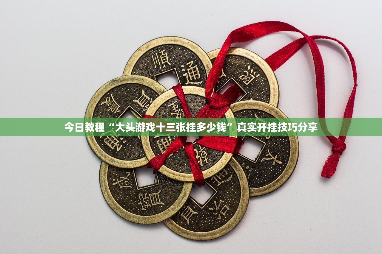 今日教程“大头游戏十三张挂多少钱”真实开挂技巧分享