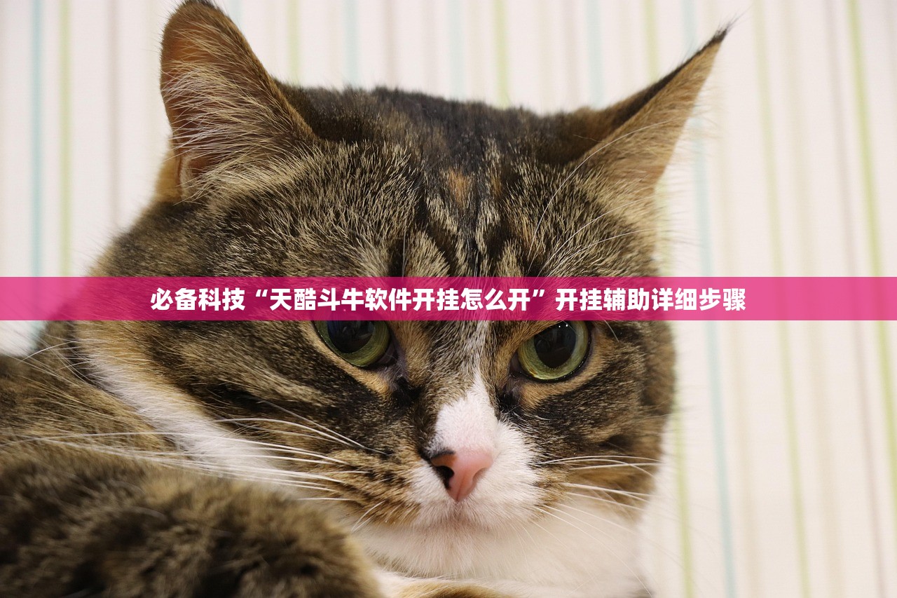 必备科技“天酷斗牛软件开挂怎么开”开挂辅助详细步骤