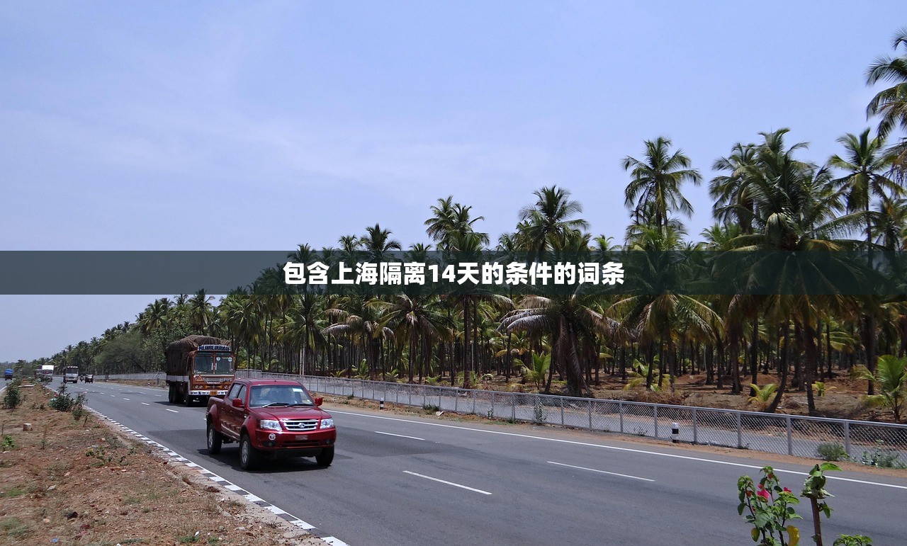 包含上海隔离14天的条件的词条