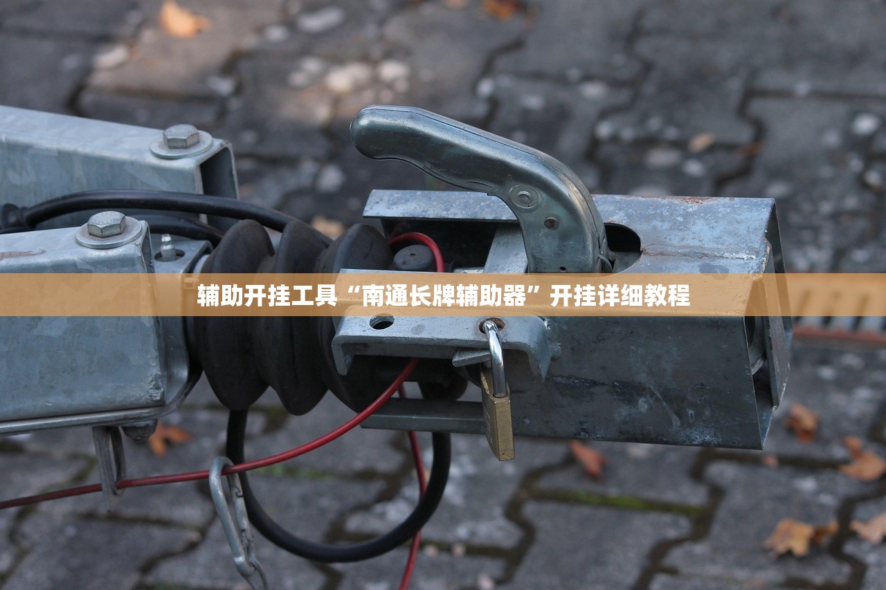 辅助开挂工具“南通长牌辅助器”开挂详细教程