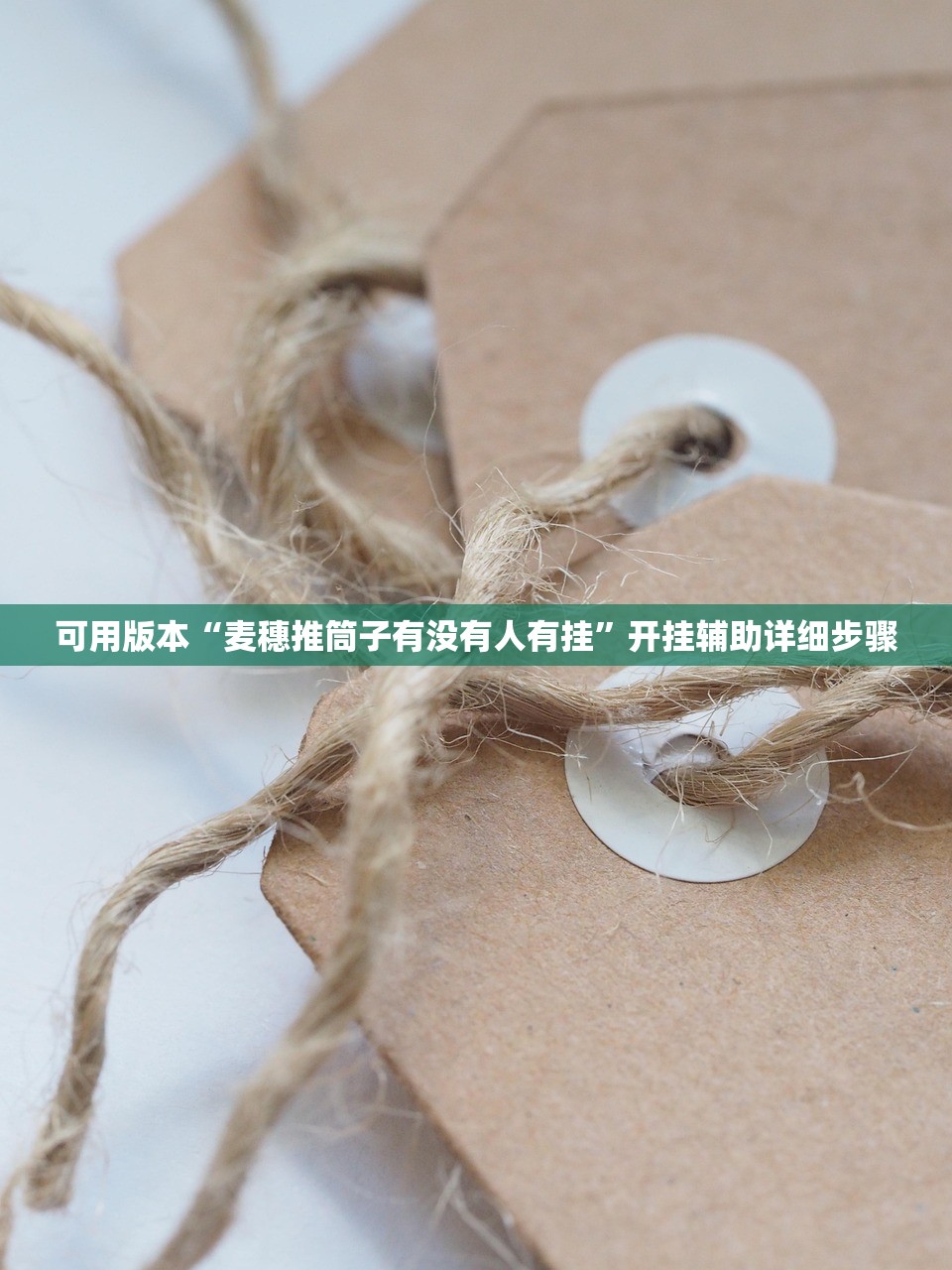 可用版本“麦穗推筒子有没有人有挂”开挂辅助详细步骤