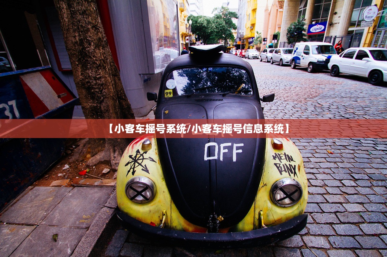 【小客车摇号系统/小客车摇号信息系统】