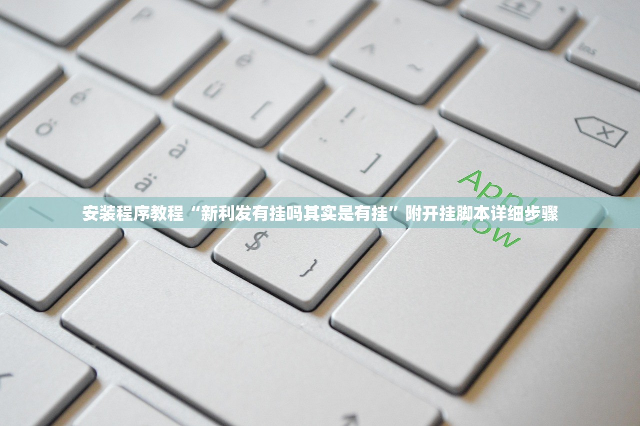 安装程序教程“新利发有挂吗其实是有挂”附开挂脚本详细步骤