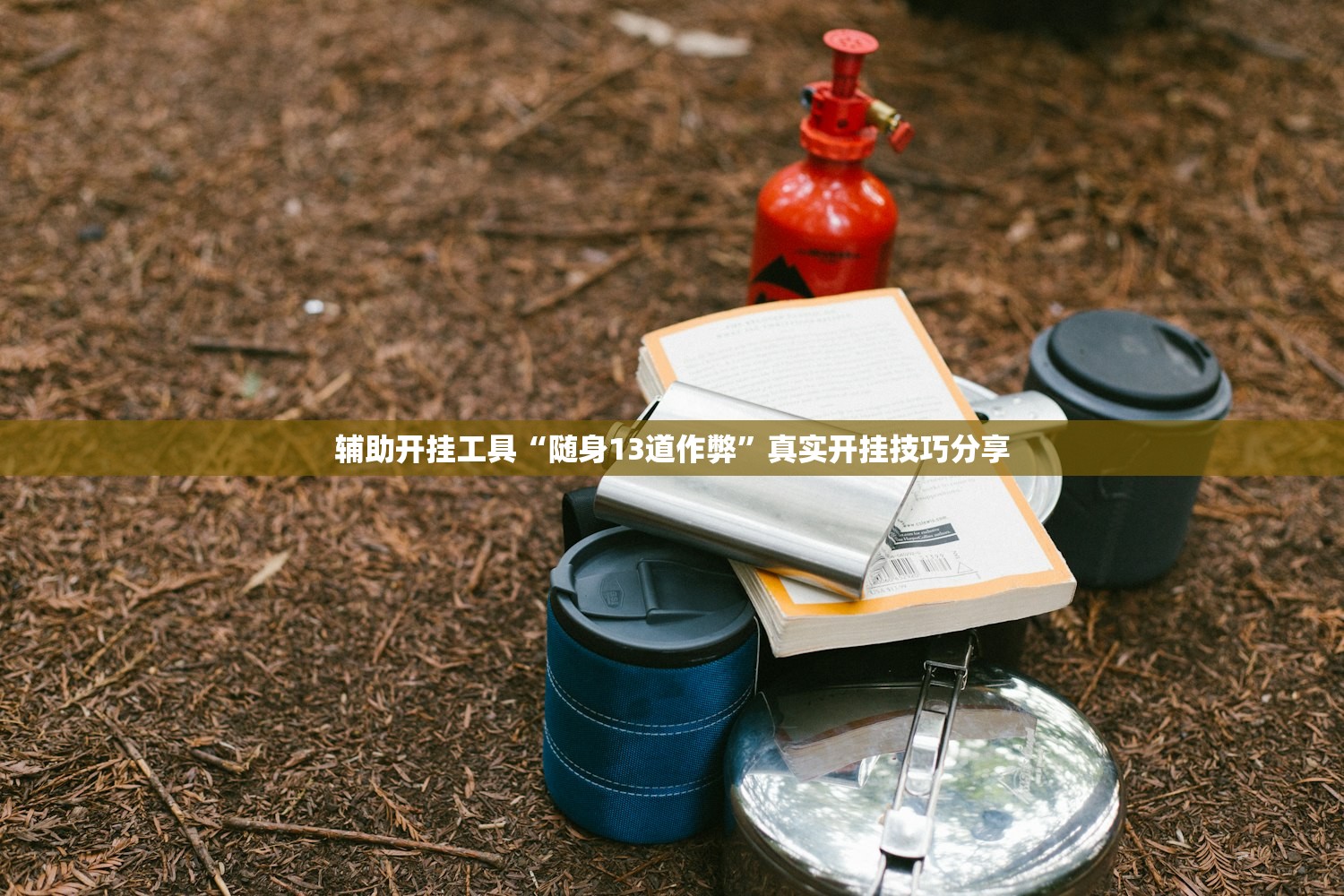 辅助开挂工具“随身13道作弊”真实开挂技巧分享