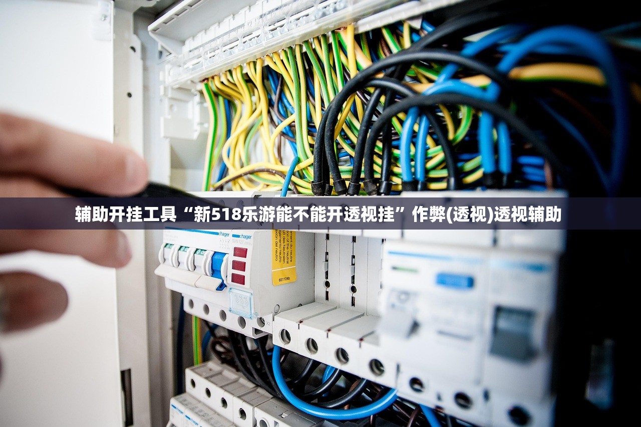 辅助开挂工具“新518乐游能不能开透视挂”作弊(透视)透视辅助 