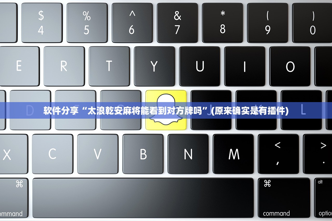软件分享“太浪乾安麻将能看到对方牌吗	”(原来确实是有插件)