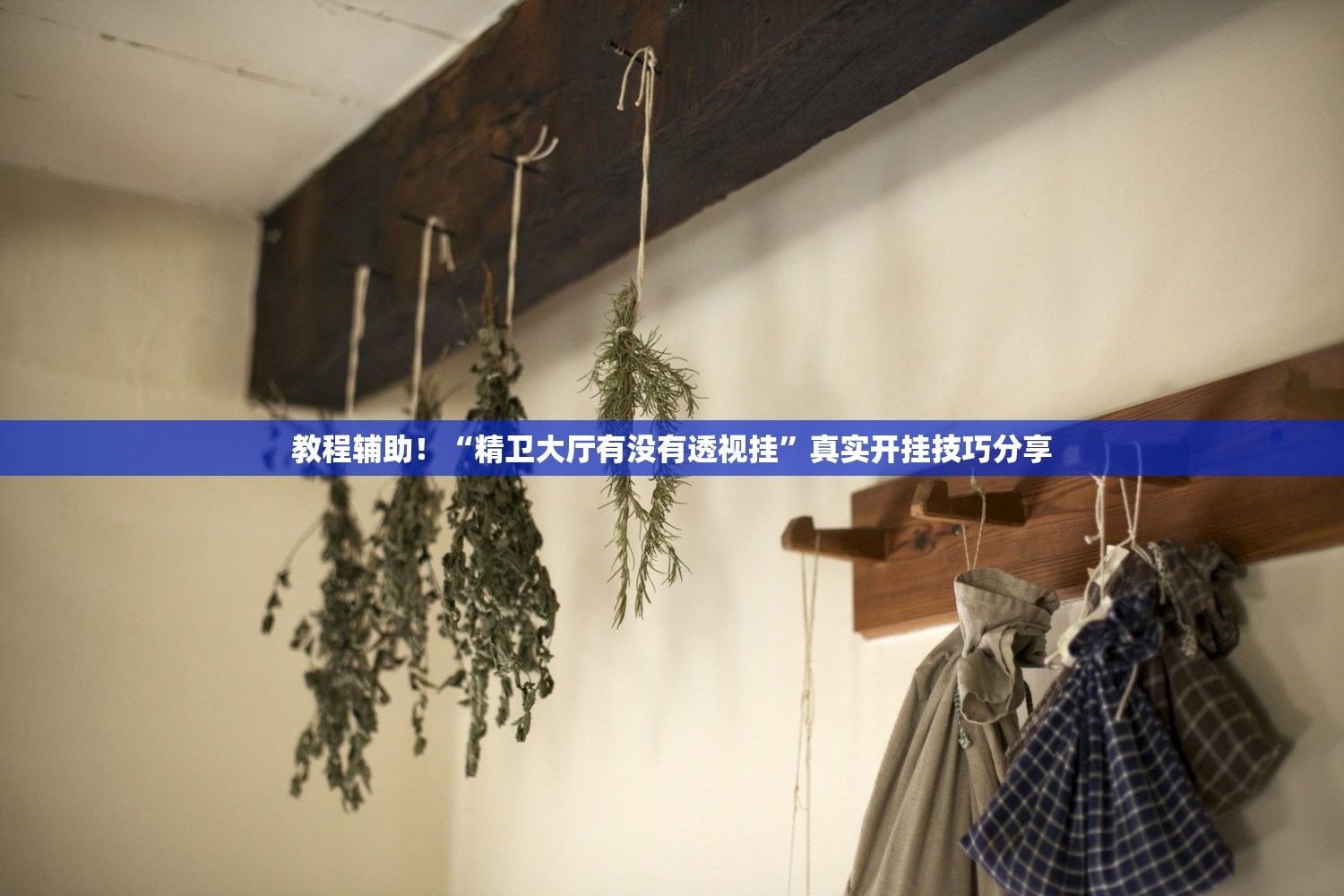 教程辅助！“精卫大厅有没有透视挂”真实开挂技巧分享