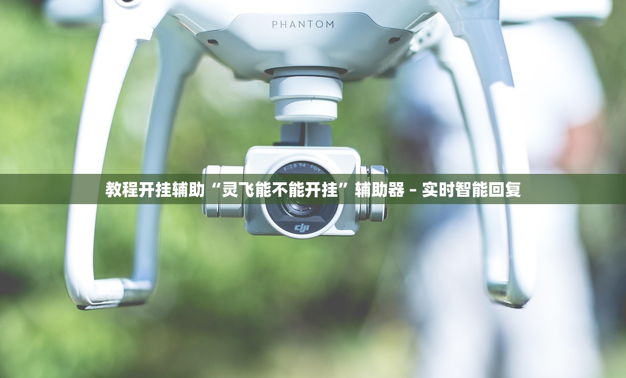 教程开挂辅助“灵飞能不能开挂”辅助器 – 实时智能回复