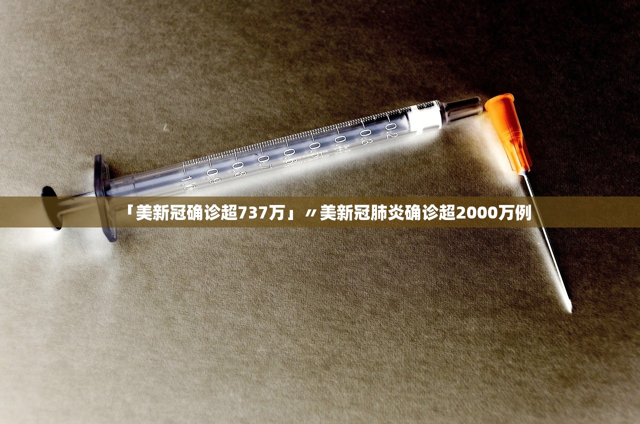 「美新冠确诊超737万」〃美新冠肺炎确诊超2000万例