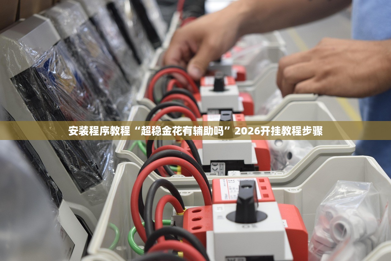安装程序教程“超稳金花有辅助吗”2026开挂教程步骤