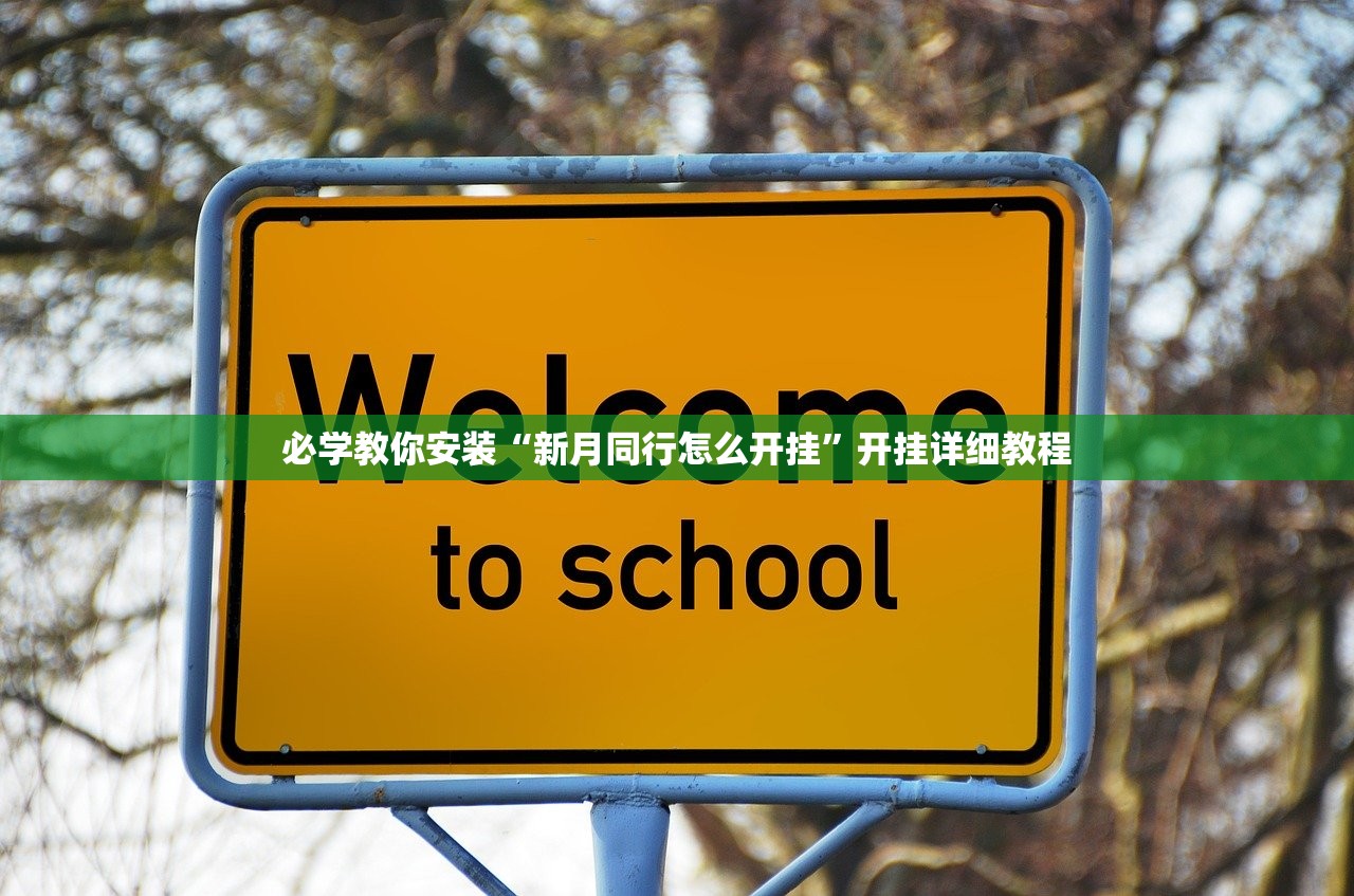必学教你安装“新月同行怎么开挂”开挂详细教程