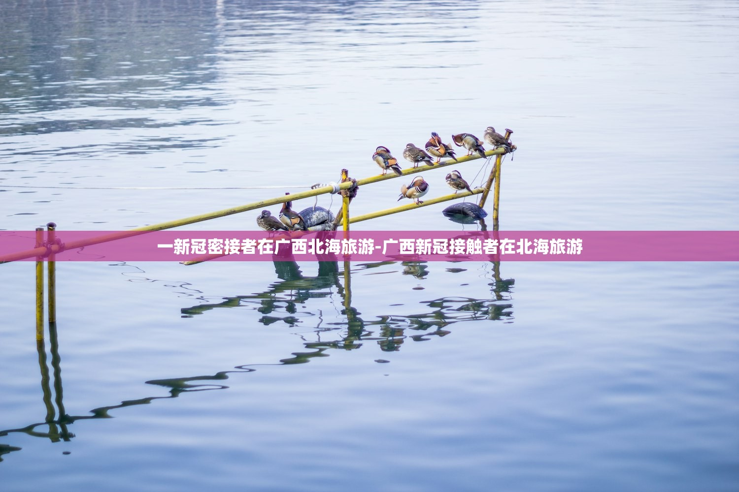 一新冠密接者在广西北海旅游-广西新冠接触者在北海旅游