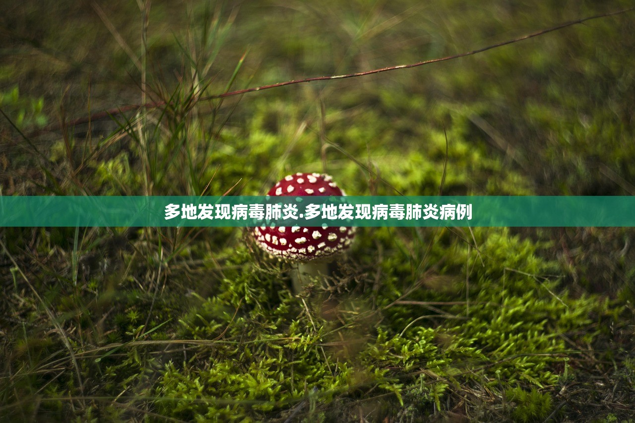 多地发现病毒肺炎.多地发现病毒肺炎病例