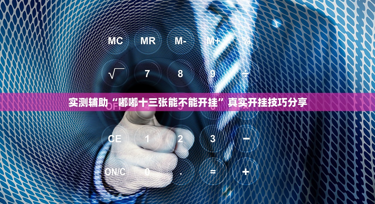 实测辅助“嘟嘟十三张能不能开挂”真实开挂技巧分享