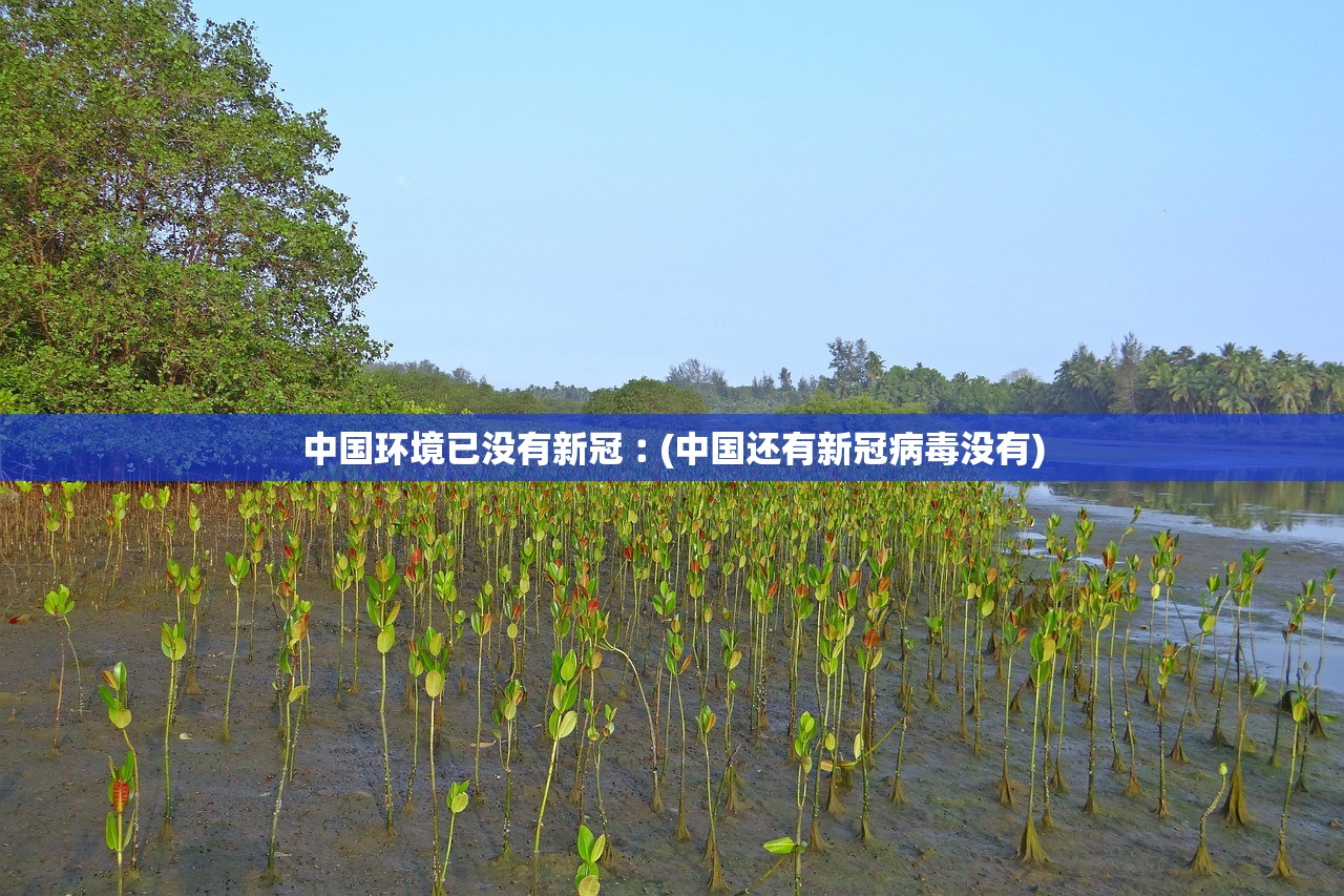 中国环境已没有新冠︰(中国还有新冠病毒没有)