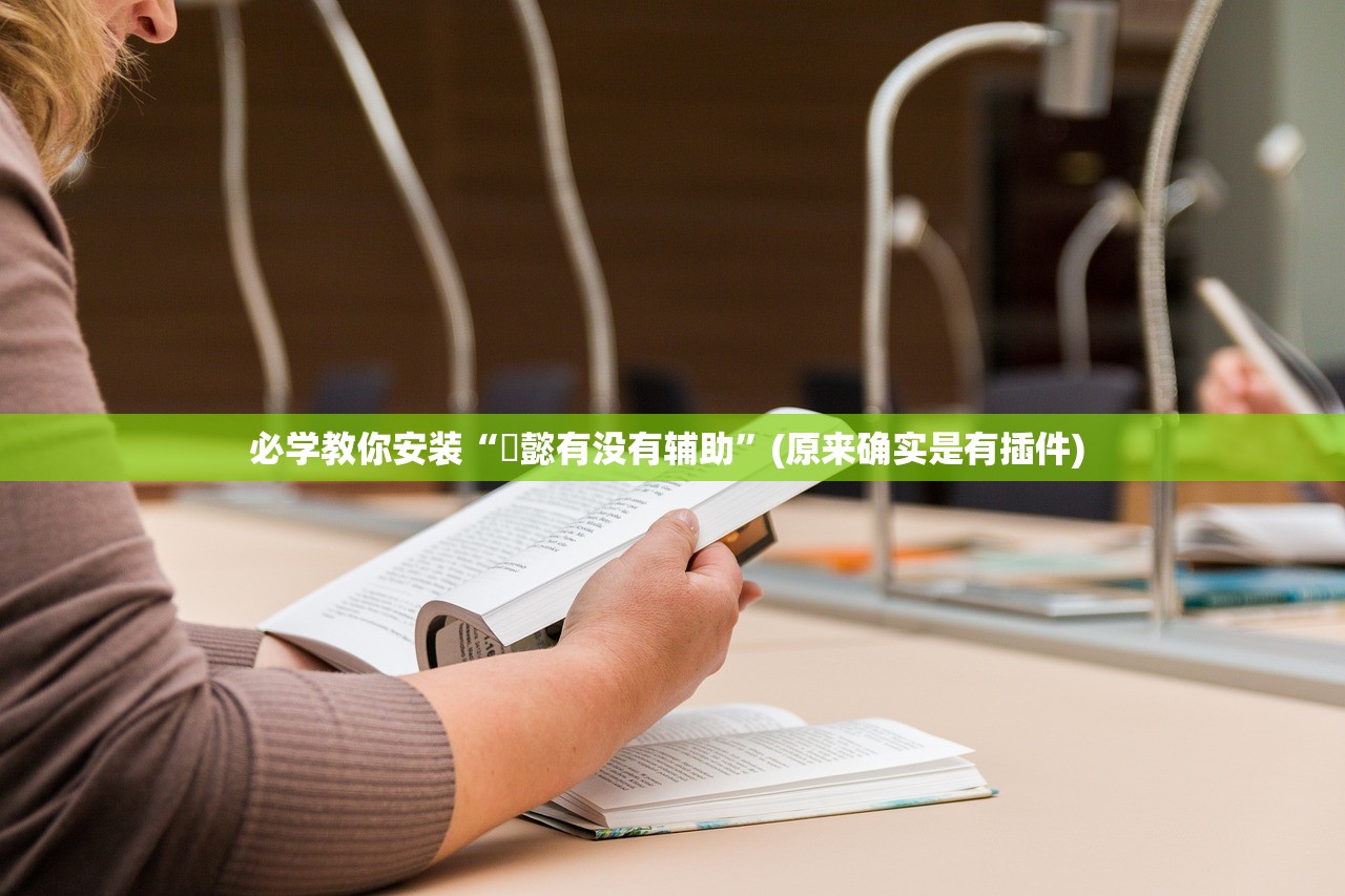 必学教你安装“堯懿有没有辅助”(原来确实是有插件) 