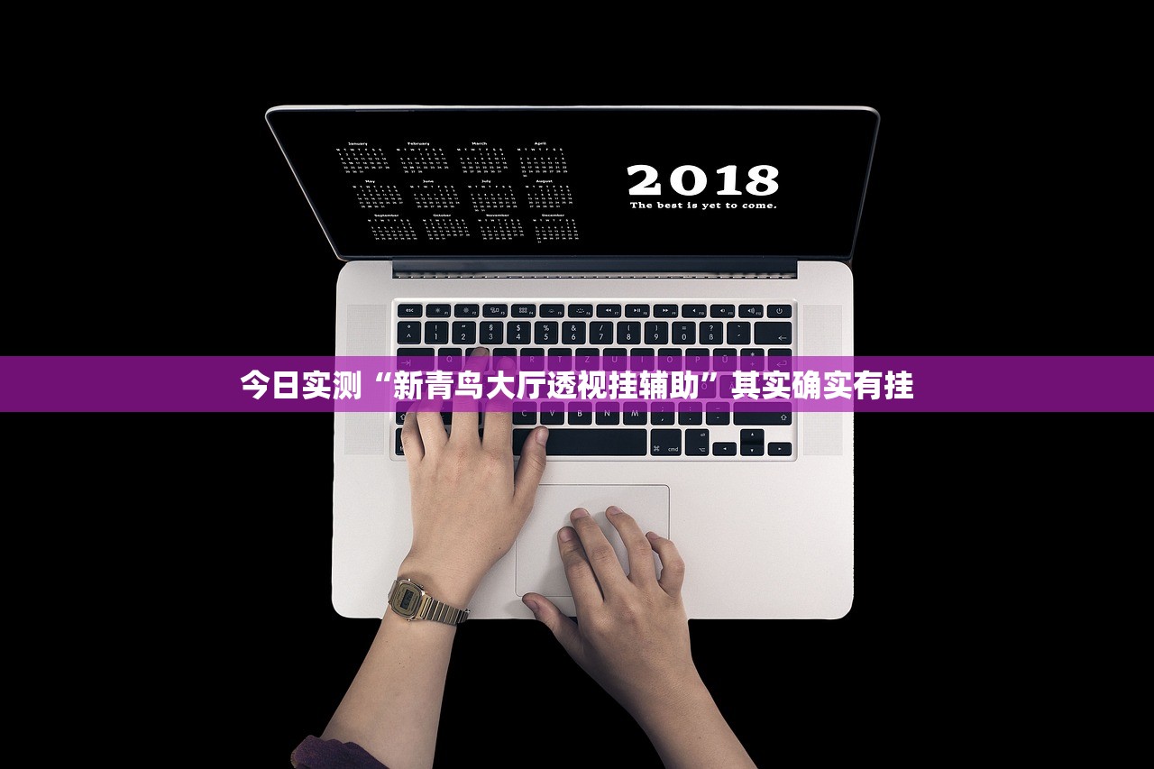 今日实测“新青鸟大厅透视挂辅助”其实确实有挂