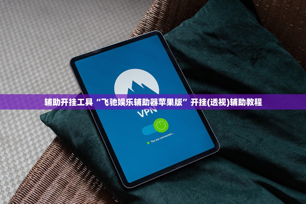 辅助开挂工具“飞驰娱乐辅助器苹果版	”开挂(透视)辅助教程