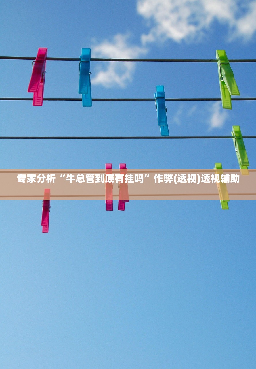 专家分析“牛总管到底有挂吗”作弊(透视)透视辅助 