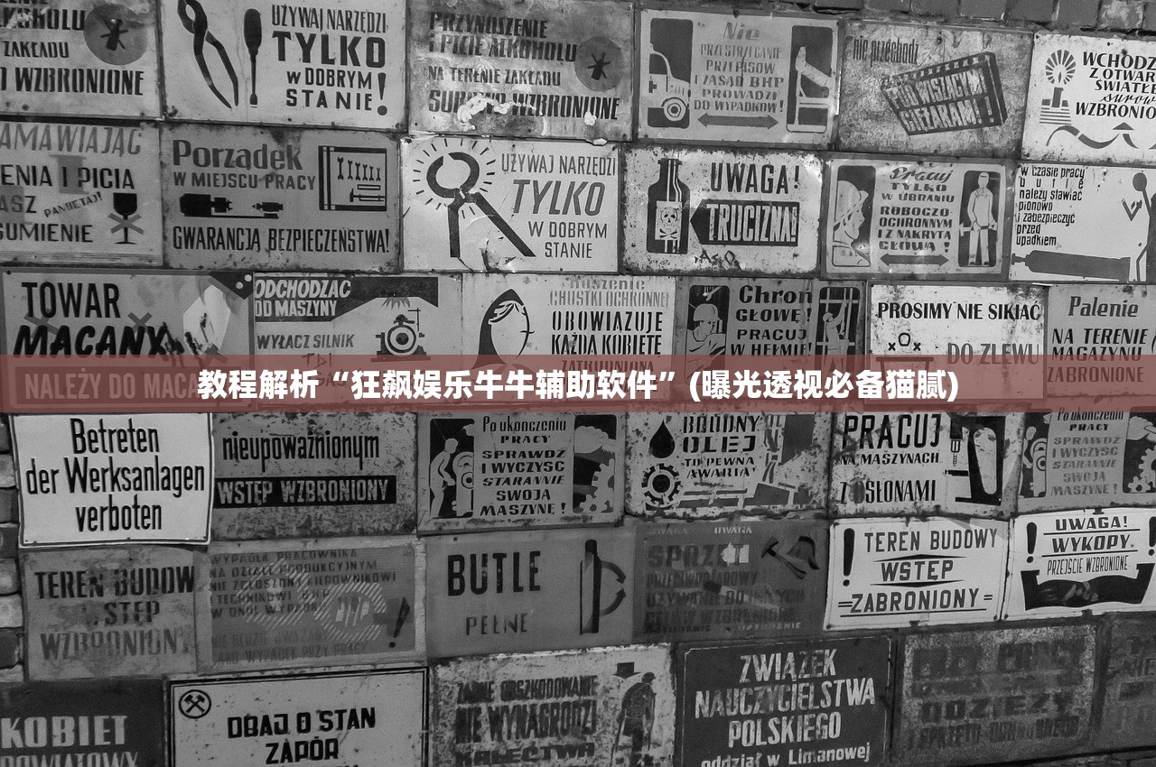 教程解析“狂飙娱乐牛牛辅助软件	”(曝光透视必备猫腻)