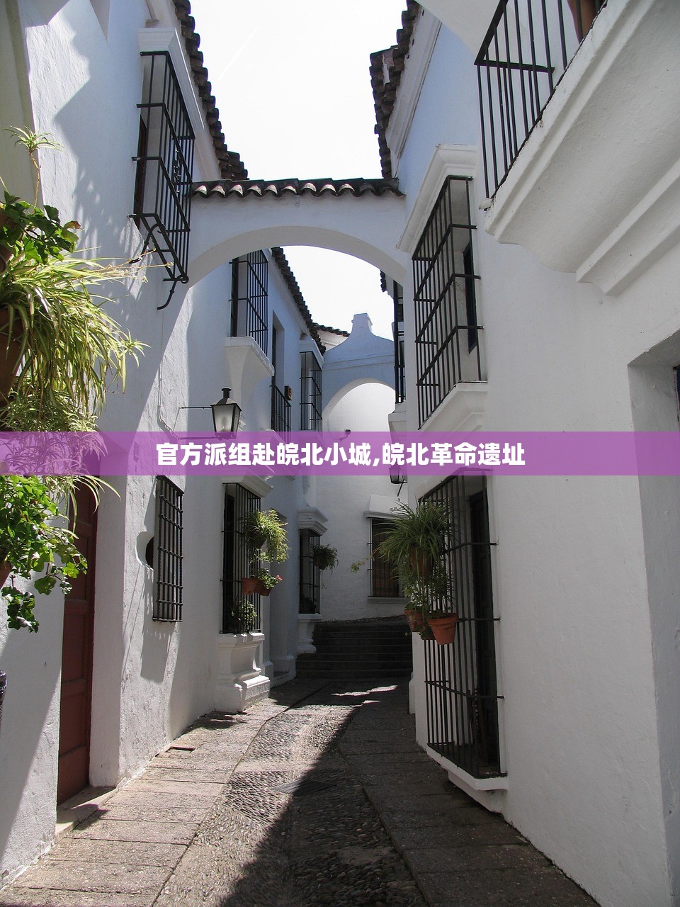 官方派组赴皖北小城,皖北革命遗址
